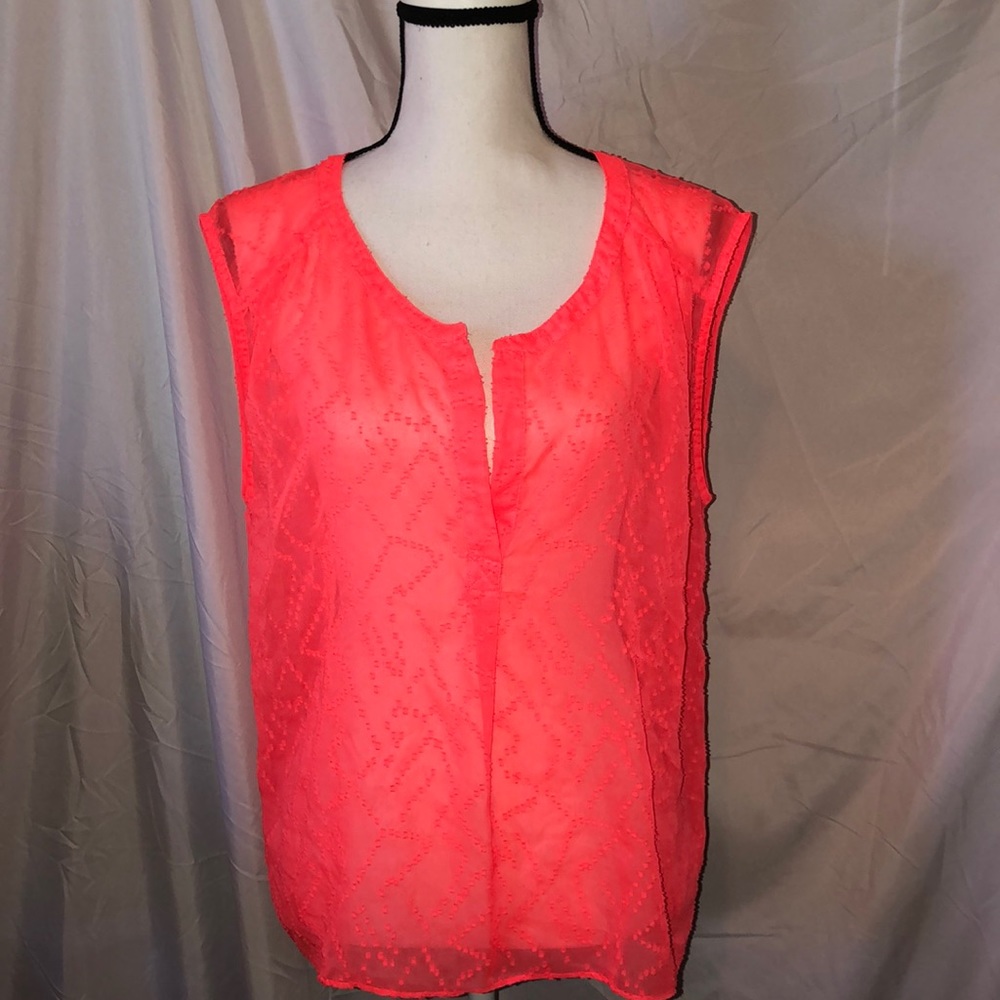 American Eagle outfitters sheer top
